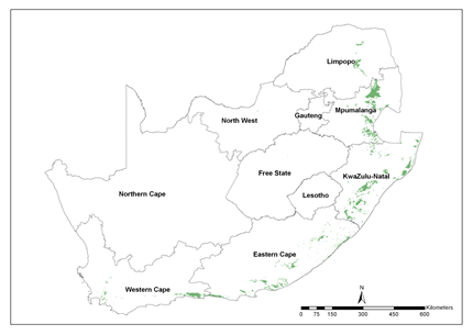Timber map